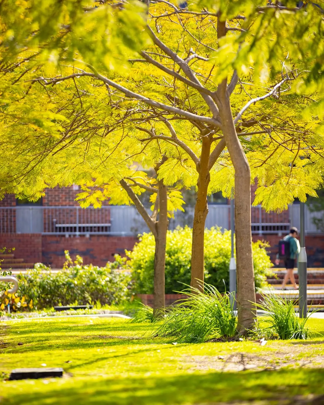 Good luck to all our students sitting exams this week. You've put in the work—now just do your best. We’re cheering you on! 📚✨ 📚

#CurtinUniversity #CurtinLife CRICOS code: 00301J.