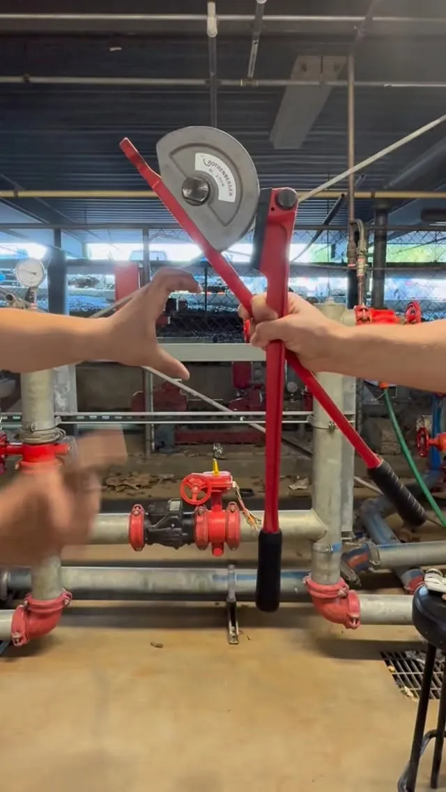 Fall in love with a career that flows💧♥️

Our plumbing apprentices love getting on the tools in our purpose-built trade training facilities.

✨✨✨

Visual description: Plumber is offered trade equipment tools but rejects them until a hand is offered into a heart.

#TAFEQueensland #TAFEQld #MakeGreatHappen
