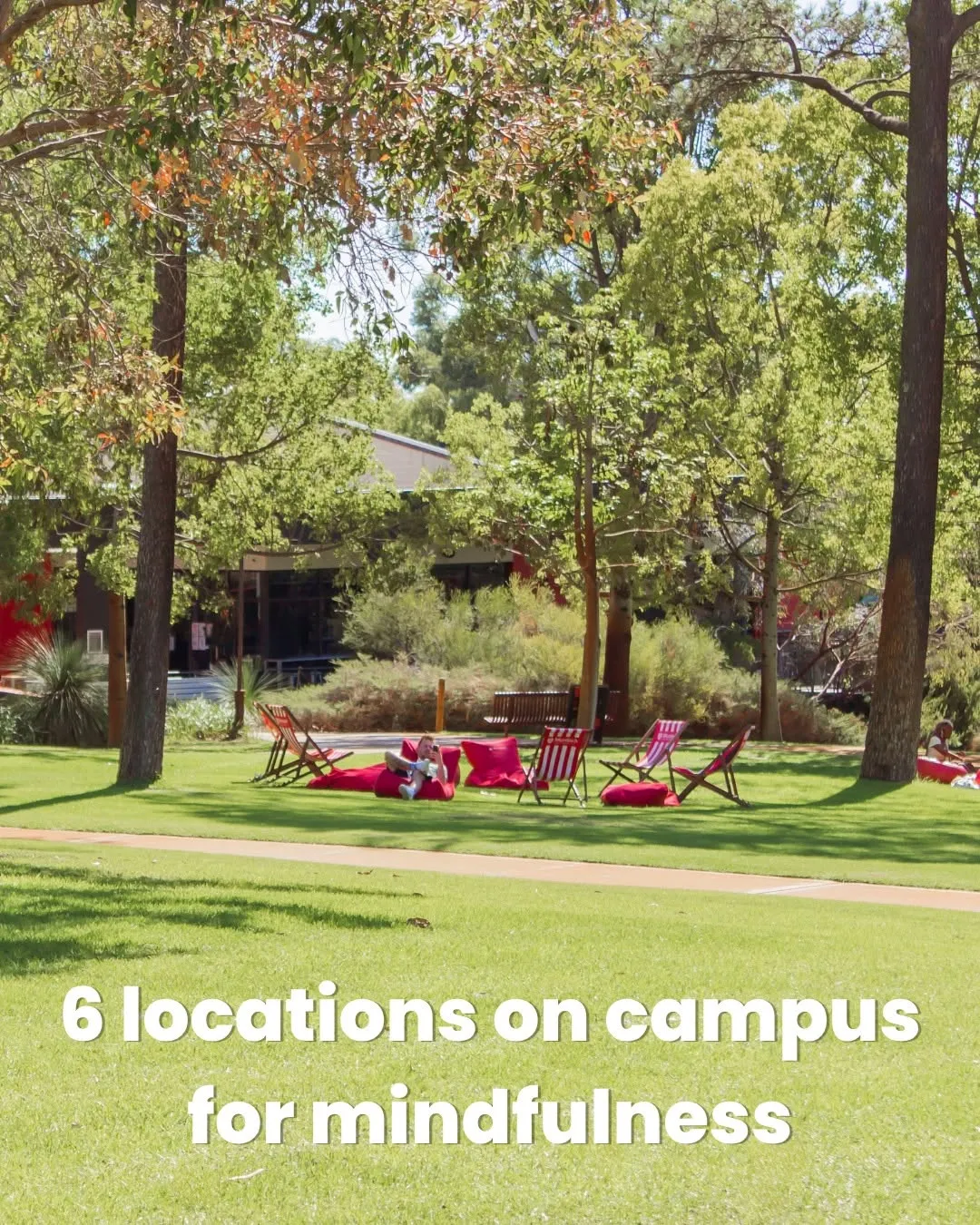 Running from class to class, juggling assignments, trying to keep up with everything… we get it!

Did you know there are spaces across campus designed to help you recharge in between classes? Enjoy a quick workout at Murdoch Active, soak up the sunshine in the Chinese Garden or cuddle some furry friends at The Den. 

Because your wellbeing deserves a spot on your timetable too 💭