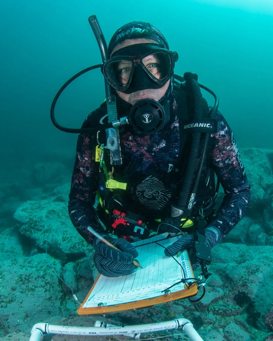 To recognise World Ocean Day, we acknowledge UOW alumni Dr Nathan Knott, who has dedicated almost three decades to marine science and coastal management. 🌊🦑
Graduating in 1996 with a Bachelor of Science (Honours), Dr Knott has gone on to have an extensive scientific career and is now an esteemed Principal Research Scientist in Fisheries Research with the NSW Government.
Dr Knott's research has focused on the connection between human pressures, like pollution, desalination, fishing, and coastal development, and the biodiversity of our oceans. 👏
#ThisIsUOW
📸: Antonia Cooper IMAS University of Tasmania