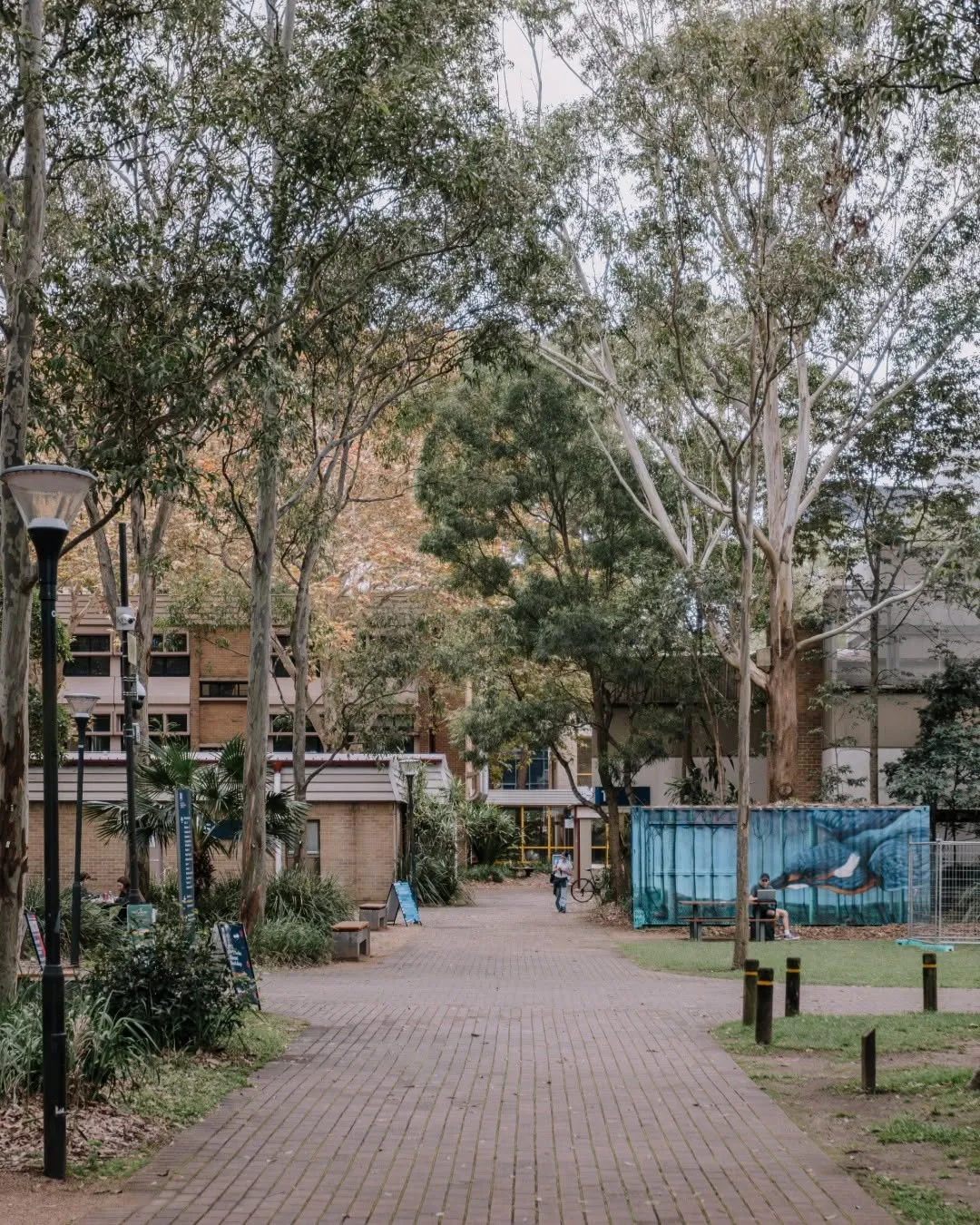 Winter at UOW = cold mornings, warm coffees, and finding a sunny spot between classes. ☕️
#ThisIsUOW