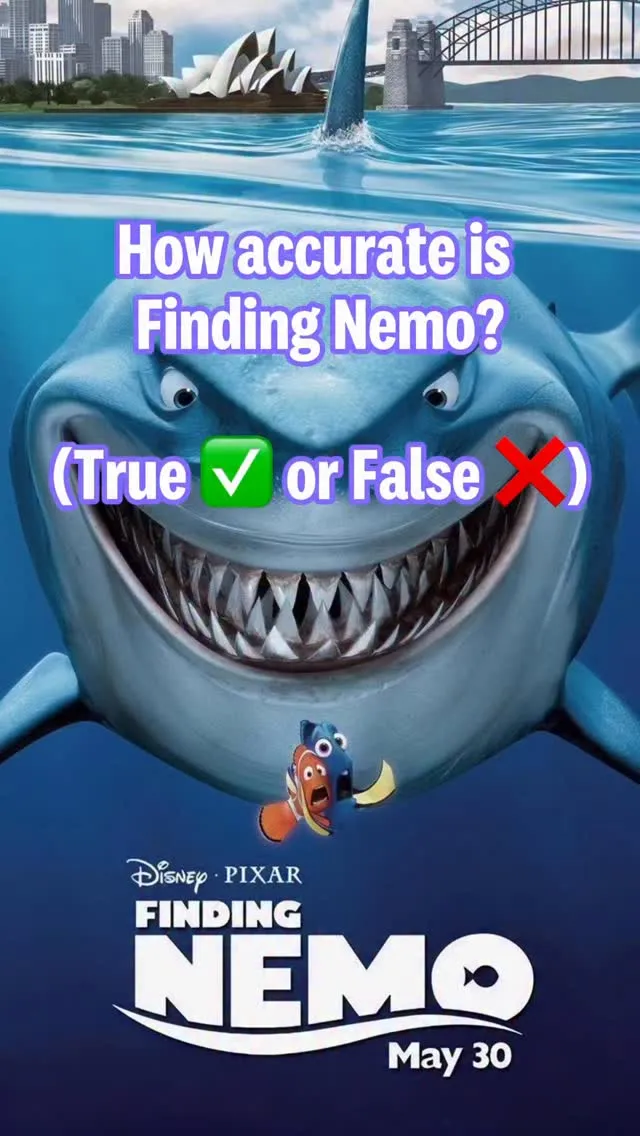 23 years ago today, Finding Nemo premiered in cinemas 🎥 🐟 🦈

The film follows Marlin as he searches for his missing son, Nemo. In his pursuit, Marlin meets Dory and together they encounter a colourful cast of characters that help them on their way to 42 Wallaby Way, Sydney 🇦🇺

But just how accurate was it? We asked our marine biologists Prof Sean Connell and Dr Dominic Mcafee 🎤
