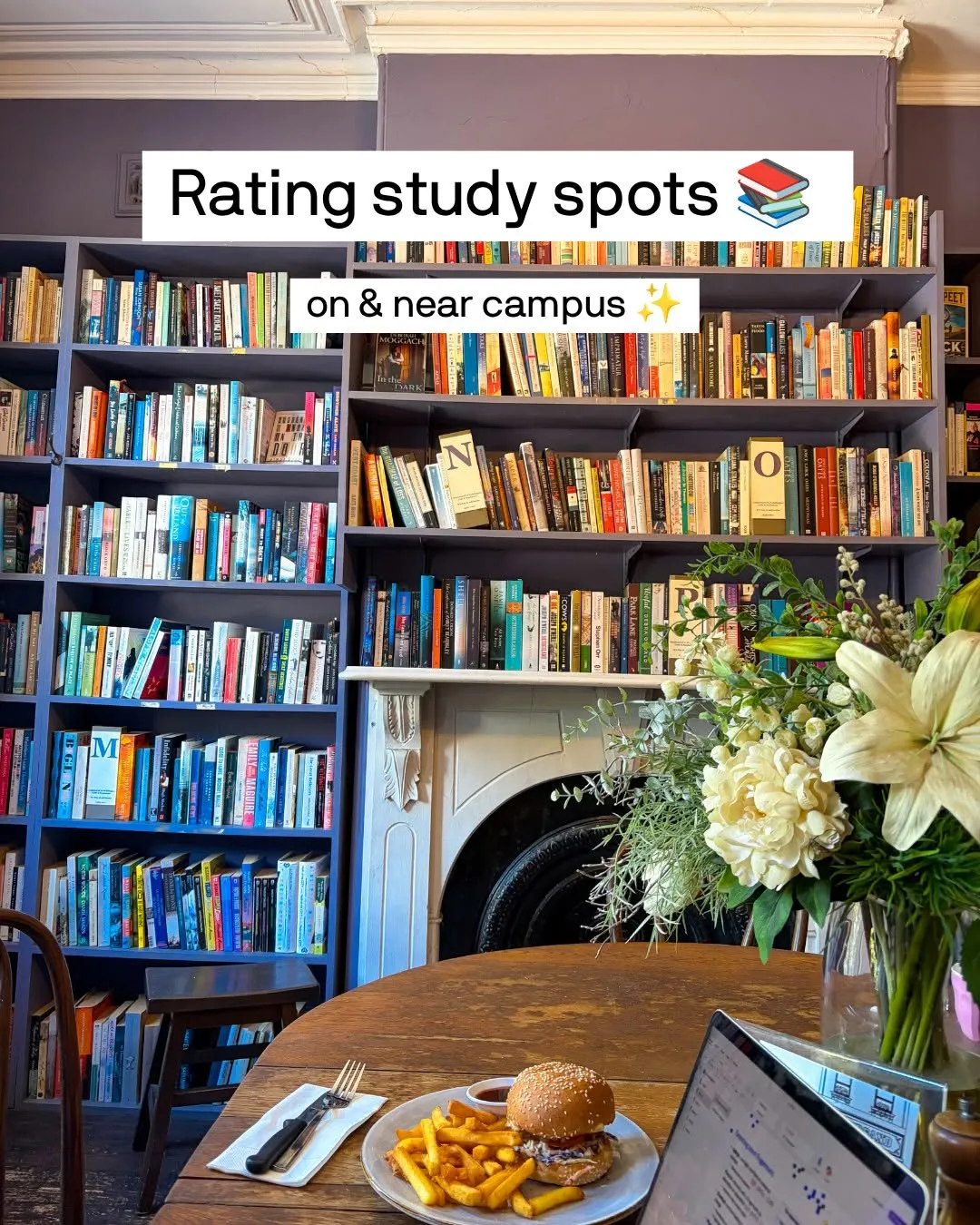 Recommendations and rankings from current law & forensics undergraduate @ankitapramod_ 📖