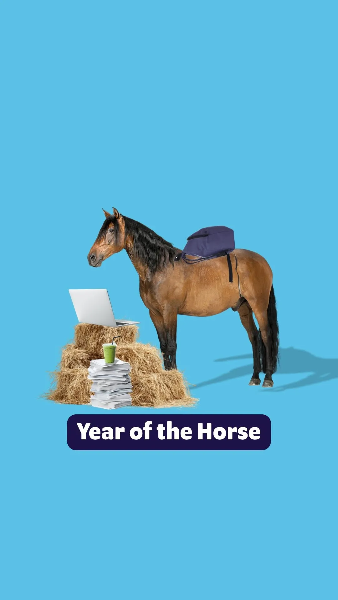 We’re halfway through the Year of the Fire Horse 🐎
 
Here are some tips for a productive second half of 2026:
 
📚 Year 11: Explore your interests, career pathways and study options now to make future decisions easier.
 
🎓 Year 12: Focus on progress, not perfection, and break big goals into manageable steps.
 
💻 Uni students: Stay organised, ask for support when you need it, and make the most of campus opportunities.
 
🧰 TAFE students: Keep building practical skills and industry connections through every project and placement.
 
You’ve made it this far, keep going!