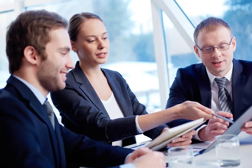 Management Analysts